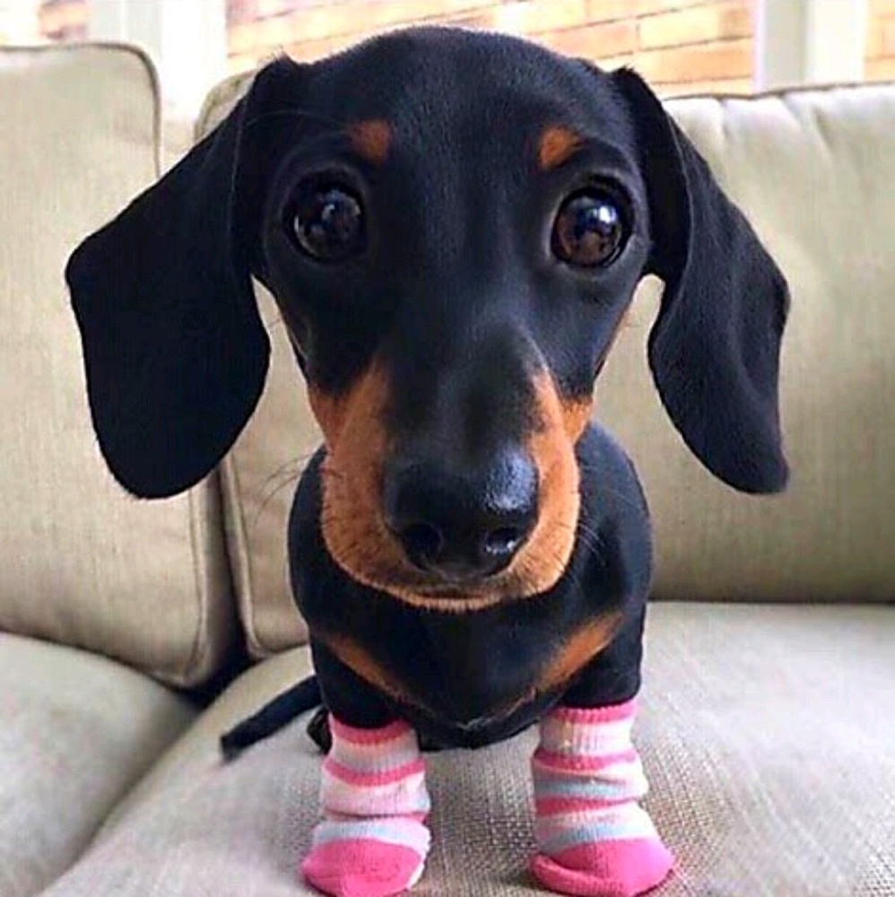 Meet your Posher, Katy