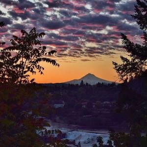 Meet your Posher, Kenneth