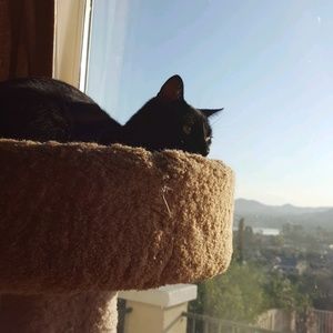 Meet your Posher, Janet