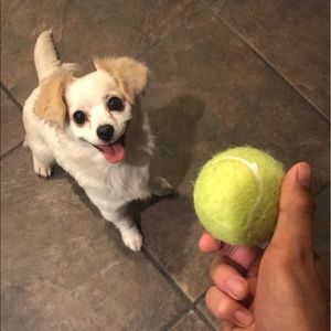 Meet your Posher, Zack