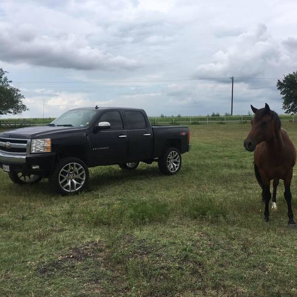 Meet your Posher, Patrick - Picture 1 of 1