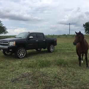 Meet your Posher, Patrick