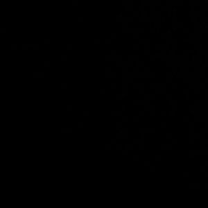 Meet your Posher, Evan