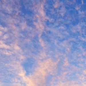 Meet your Posher, Alejandro