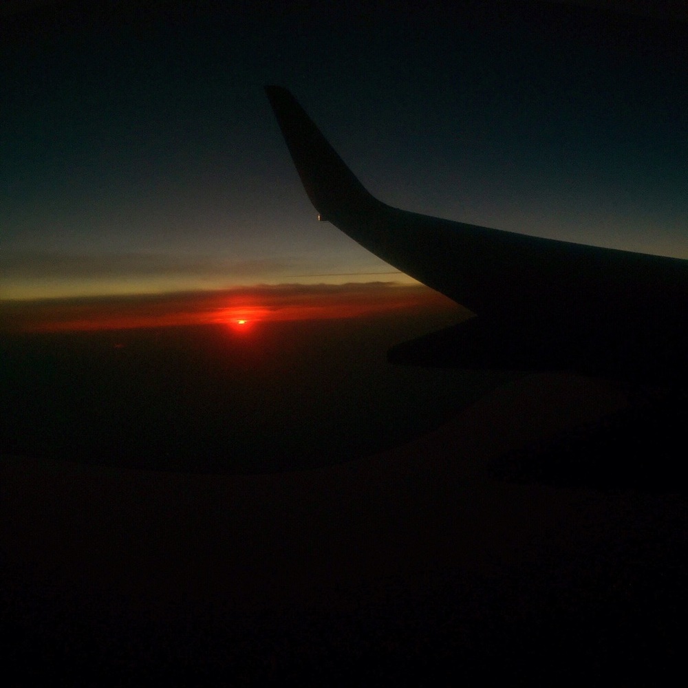 Meet your Posher, Regan