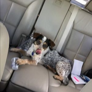 Meet your Posher, Tracy