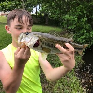 Meet your Posher, Rodger