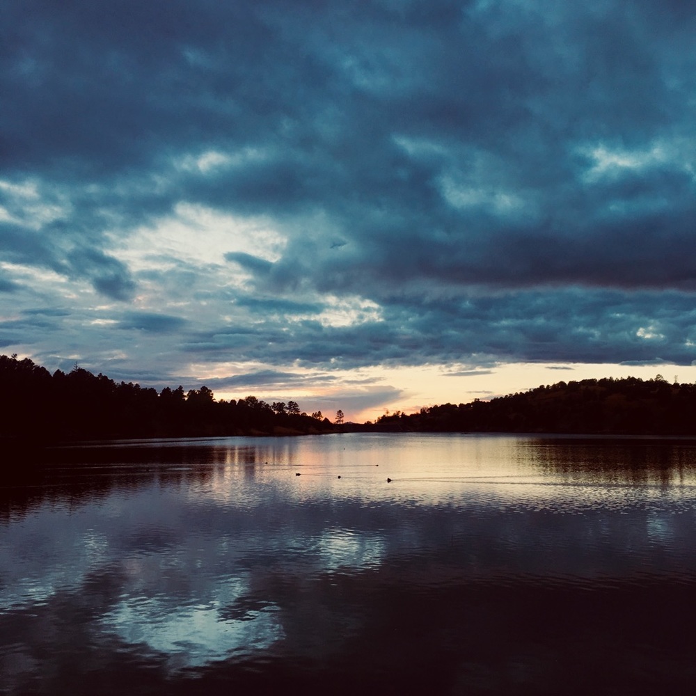 Meet your Posher, Devin