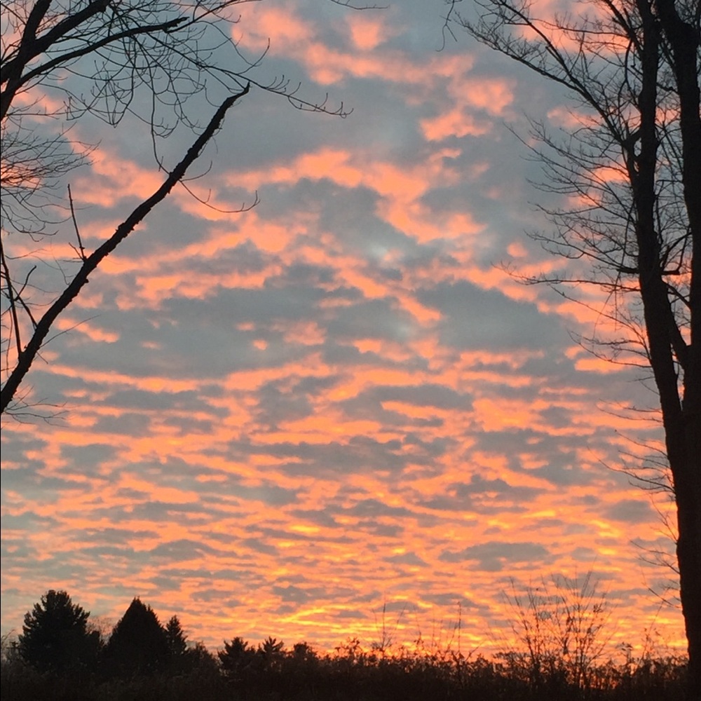 Meet your Posher, Laren