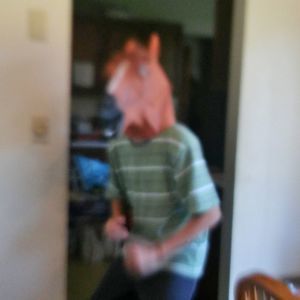 Meet your Posher, Patrick