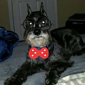 Meet your Posher, Debbie