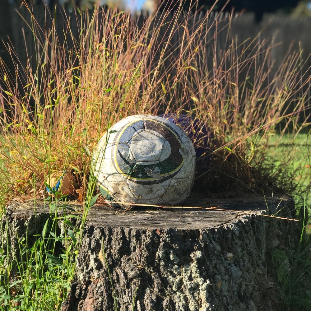 Meet your Posher, Lynda