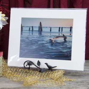 Driftwood and Sandbars Wall Art Landscape Photo