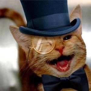 Meet your Posher, Raymond