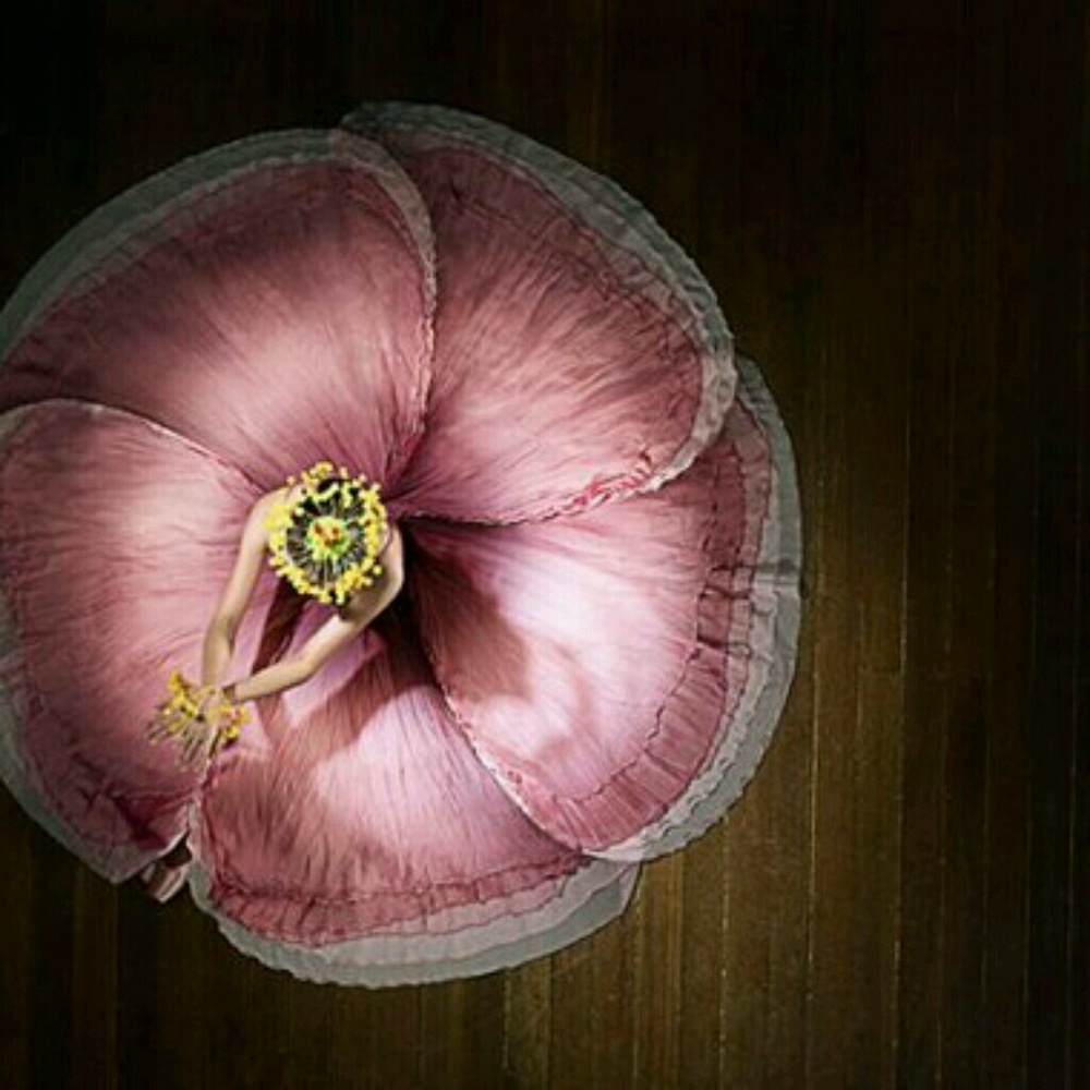 Meet your Posher, Priscilla