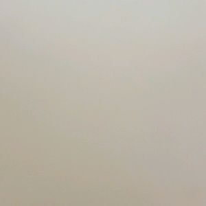 Meet your Posher, Riley