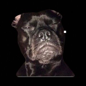 Meet your Posher, Khalil