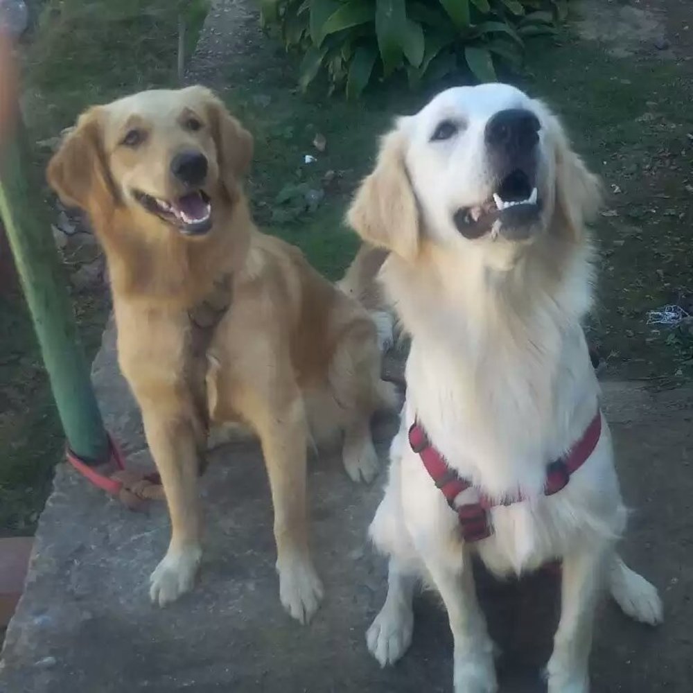 Meet your Posher, Heily