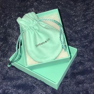 💎Tiffany and co necklace💎