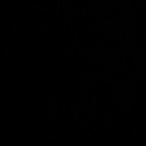 Meet your Posher, Santos