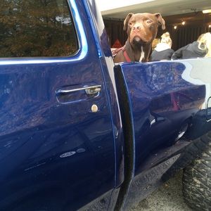 Meet your Posher, Chris