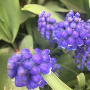 Meet your Posher, Estela