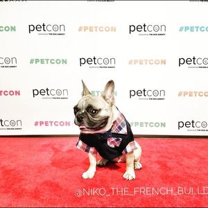 Meet your Posher, Lori