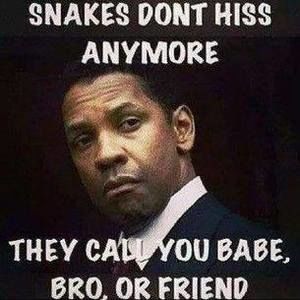 Meet your Posher, Lamar