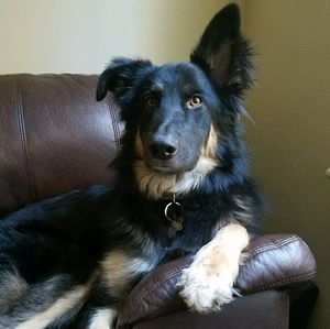 Meet your Posher, Jarrett