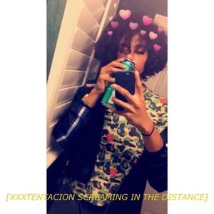 Meet your Posher, Blake