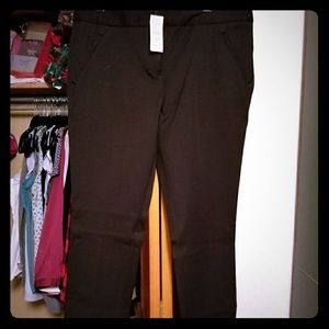 Loft Dress Pants
