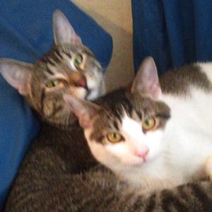 Meet your Posher, Wyatt