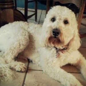 Meet your Posher, Debra