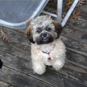 Meet your Posher, Randy