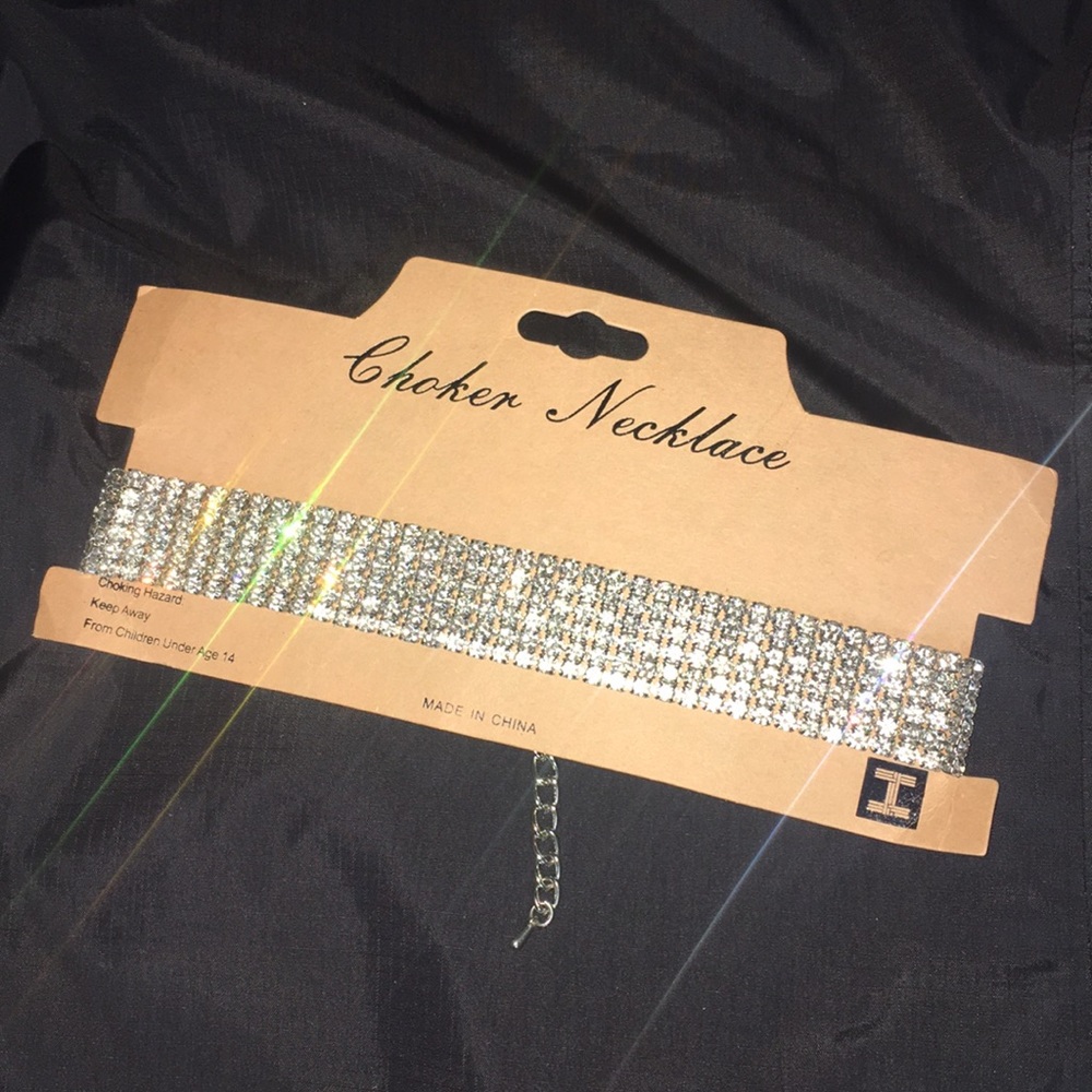 Fashion Nova Choker Necklace