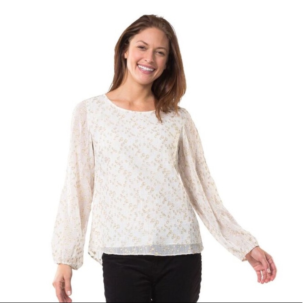 Sail to Sable Metallic Chiffon Long Sleeve Blouse
