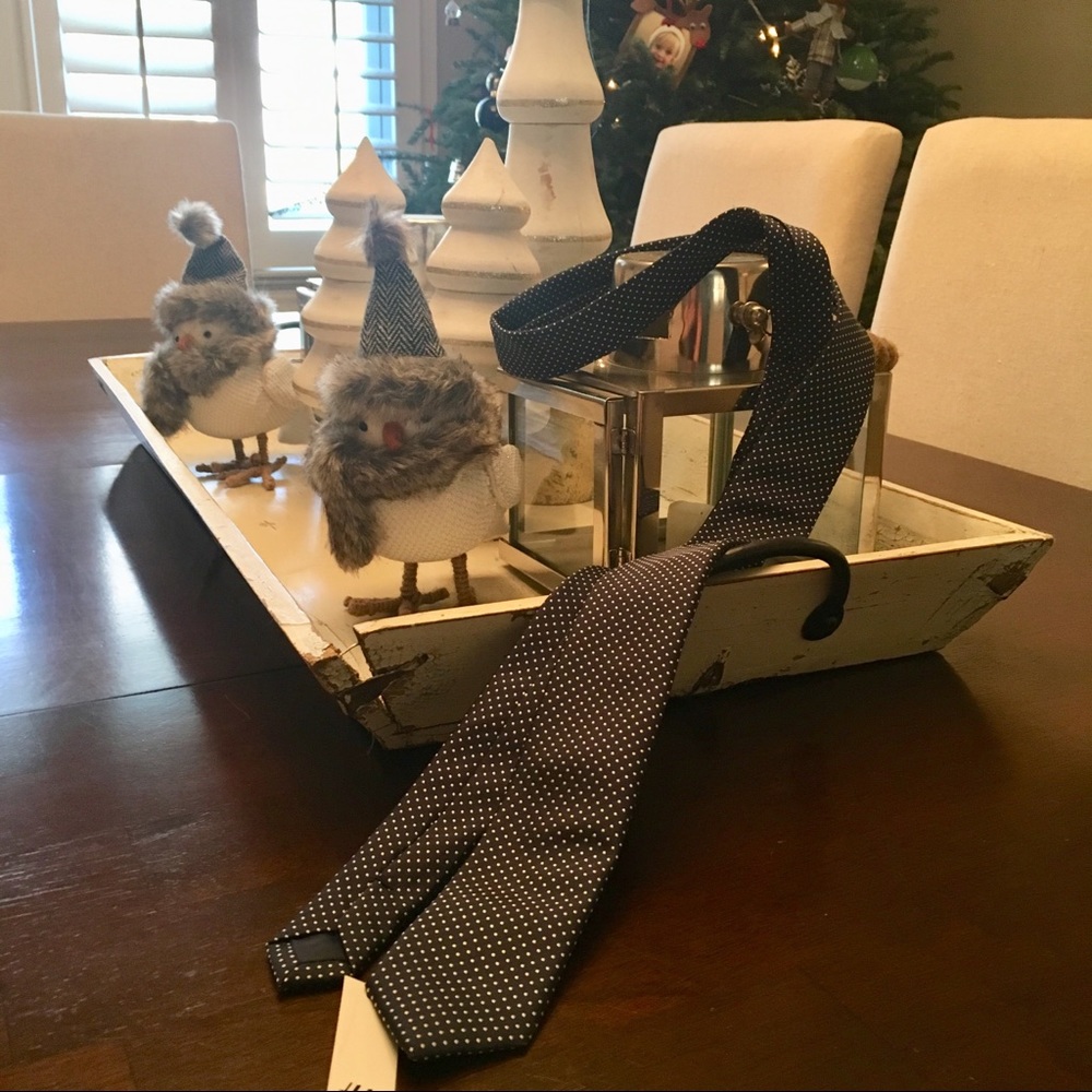H&M Navy with lavender dot skinny tie
