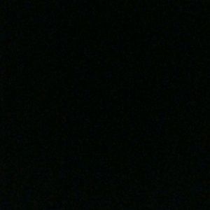 Meet your Posher, Dalton