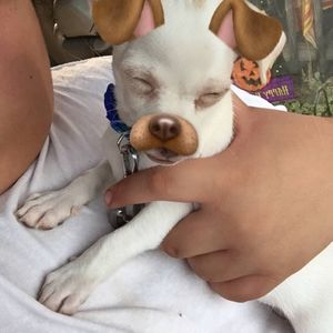 Meet your Posher, Kathryn marie