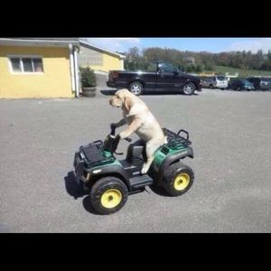 Meet your Posher, Lane