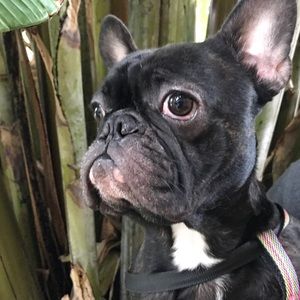 Meet your Posher, Lizette