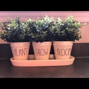 Rae Dunn Planter Set