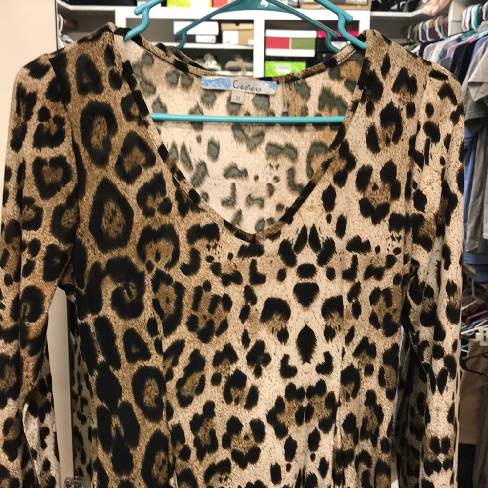 Leopard Mini Dress - Picture 2 of 2