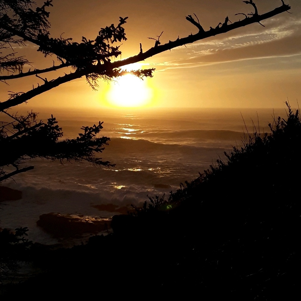 Meet your Posher, Candace