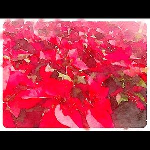 Meet your Posher, Gade