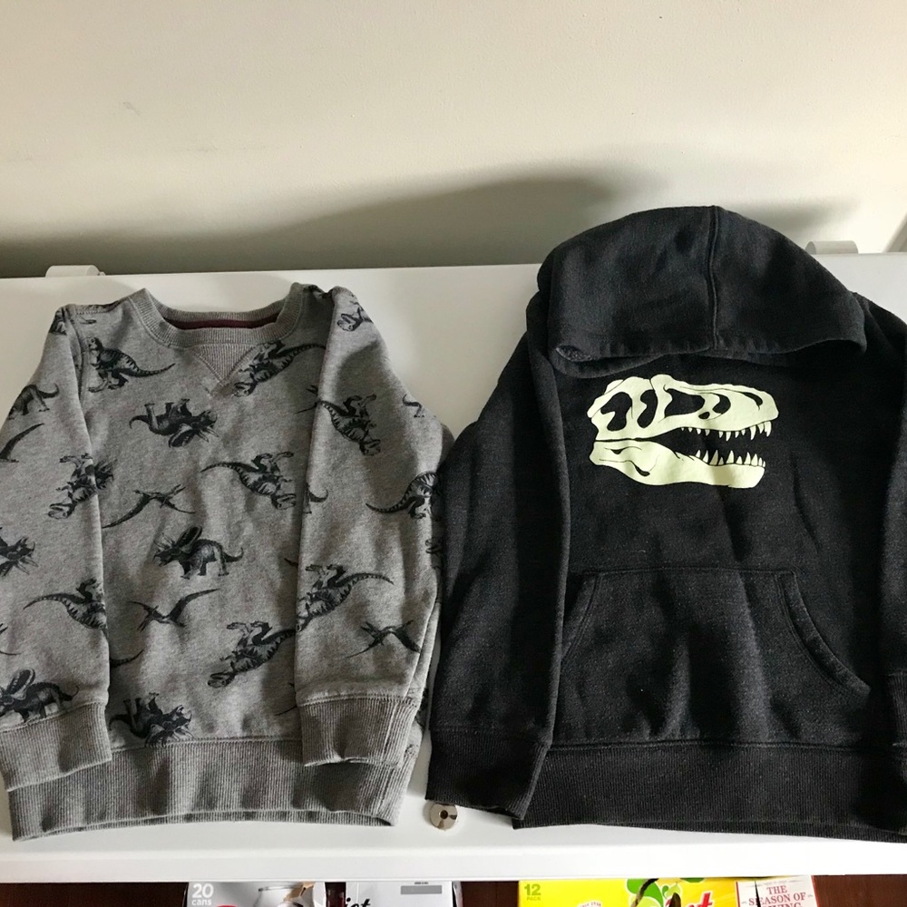 Boys Dinosaur Sweatshirts.