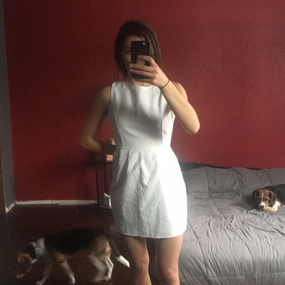 CLOSET CLOSING - Picture 4 of 4