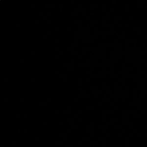 Meet your Posher, Laila