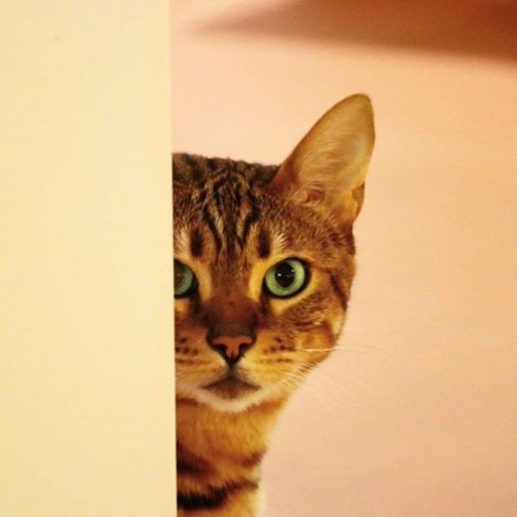 Hi! - Picture 3 of 3