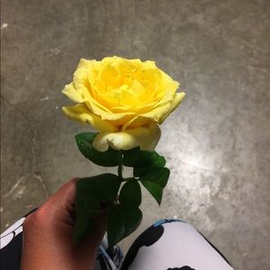 Meet your Posher, Veronica